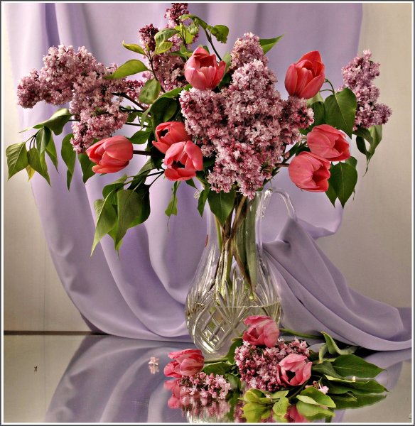 Цветы тюльпаны сирень букет