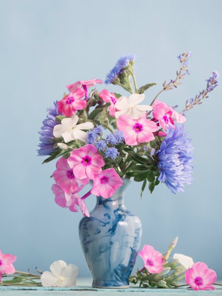 Нежный натюрморт