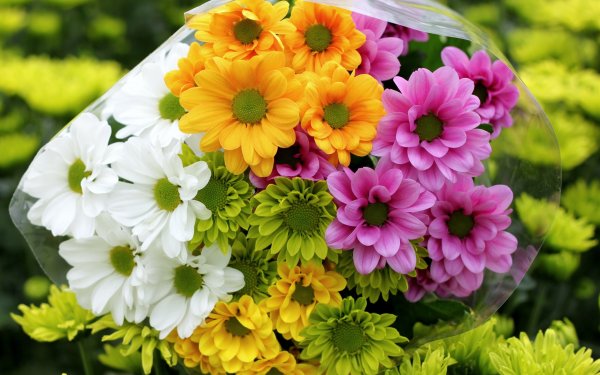 Красивый букет цветов