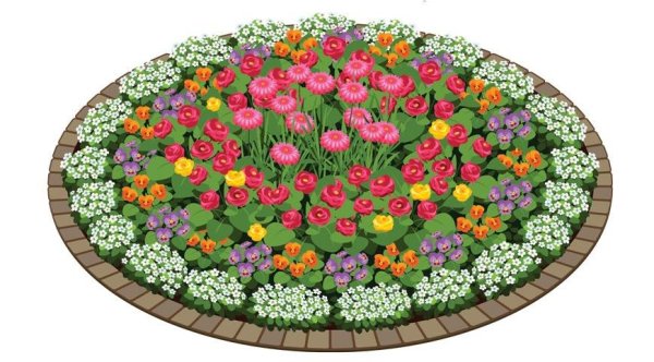 Макет клумбы