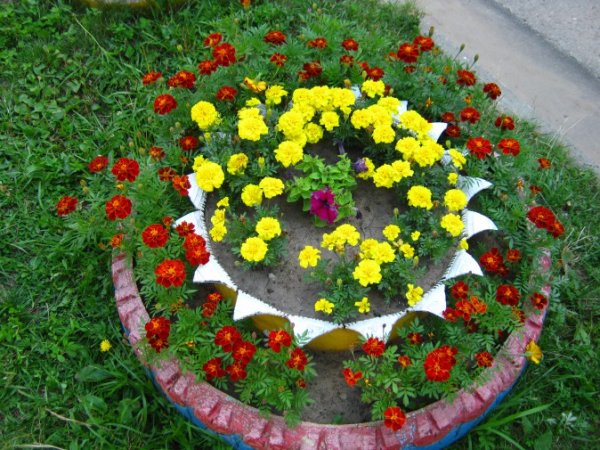 Клумбы в детском саду