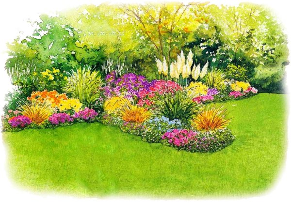 Клумба рабатка рокарий миксбордер