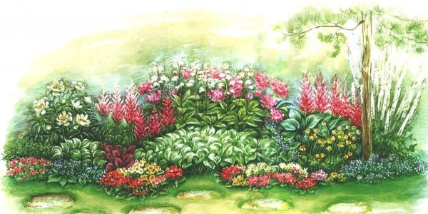 Миксбордер акварель