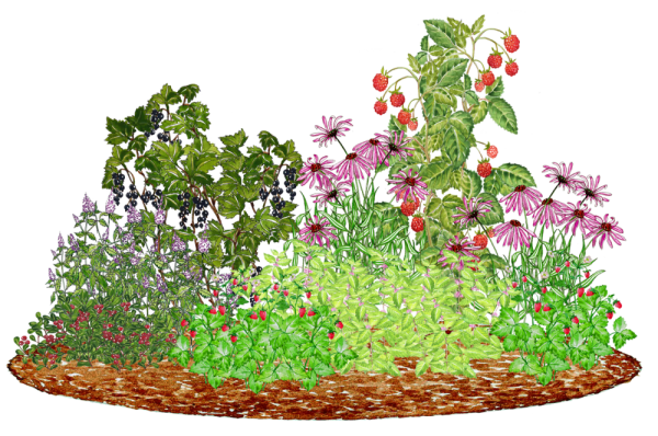 Цветник для детей