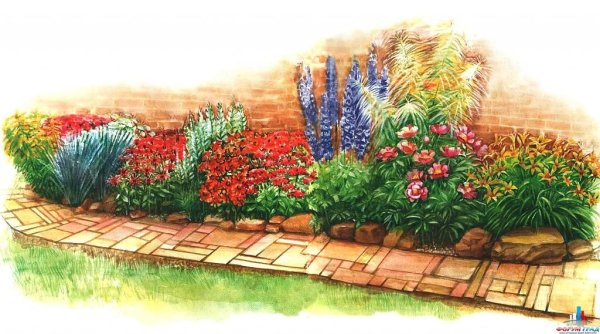 Рабатка схема цветника