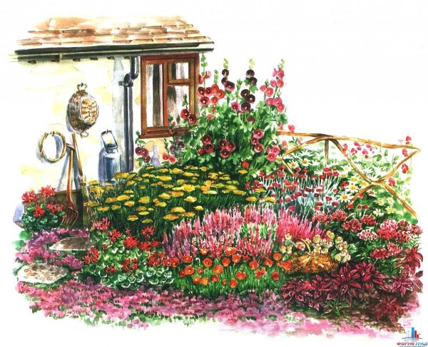 Розарий непрерывного цветения