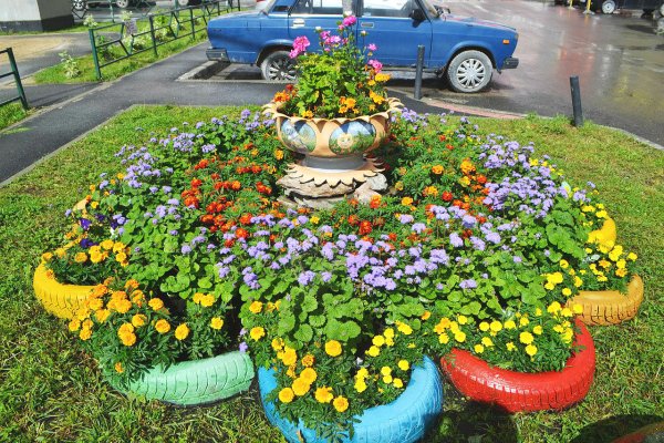 Конкурс цветочных клумб