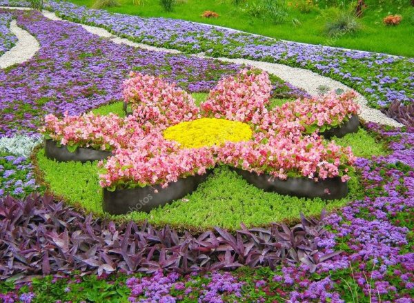 Орнаментные клумбы