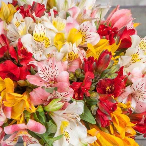 Альмерия букет