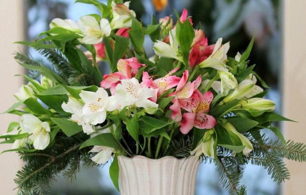 Цветы Аустерия букет