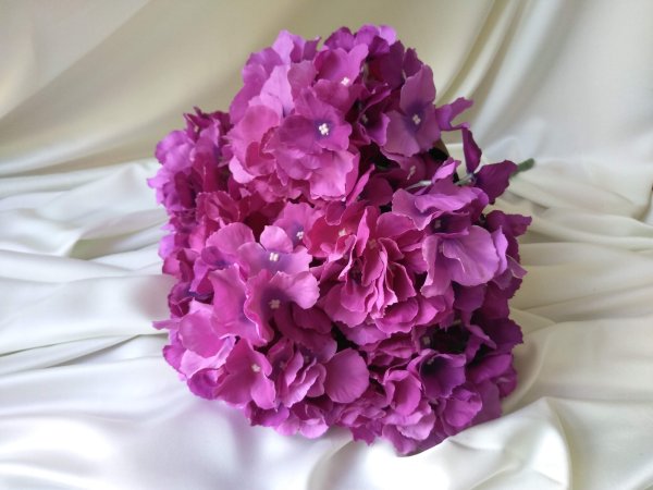 Азалия цветок