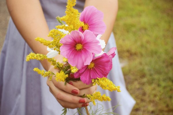 Mondial тюльпан мускари