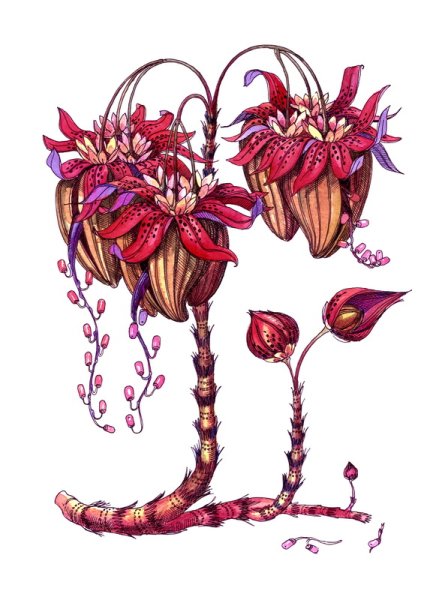 Выдуманные цветы