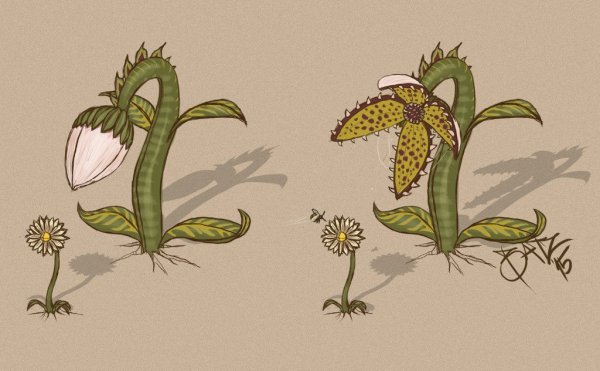 Выдуманное растение рисунок