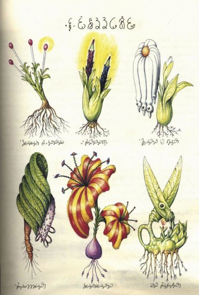 Луиджи Серафини