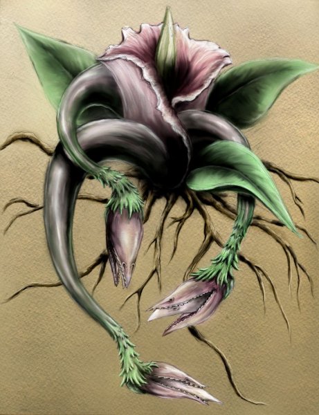 Фантастические растения