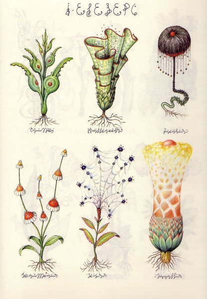 Codex Seraphinianus иллюстрации