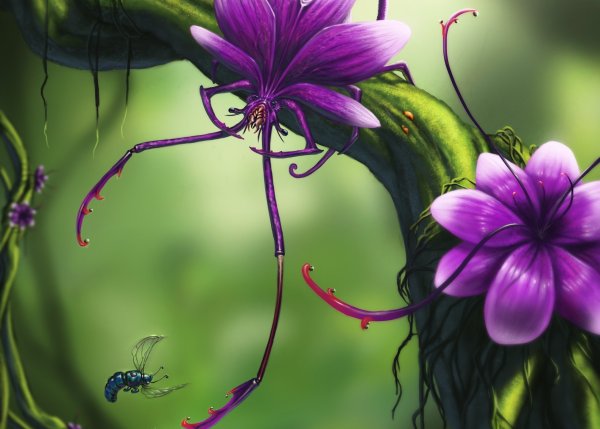 Сказочные цветы