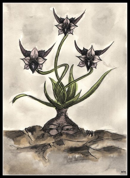 Арты растений