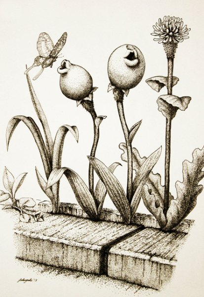 Несуществующий цветок