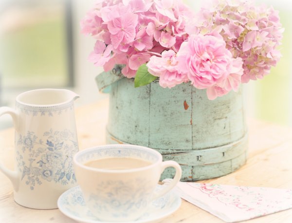 Натюрморт на природе