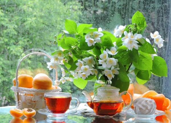 Утро лето цветы