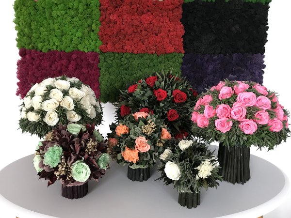 Стабилизированные растения