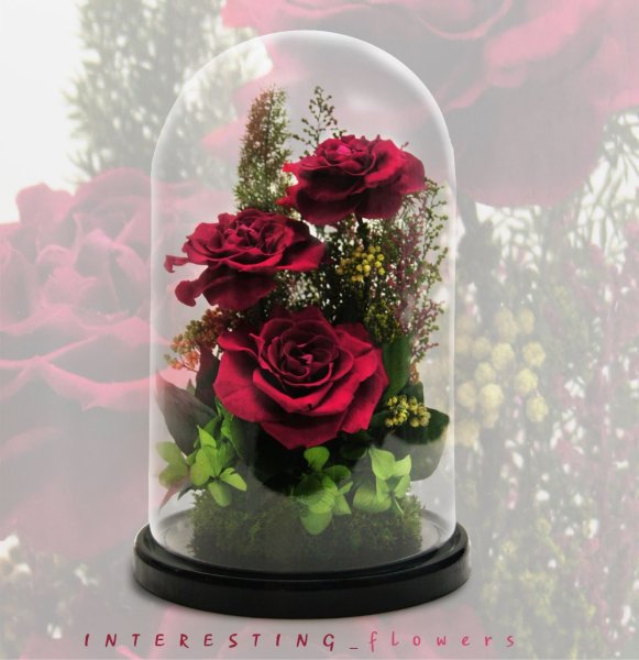 Композиции со стабилизированными цветами