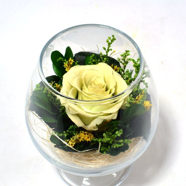 Стабилизированные цветы