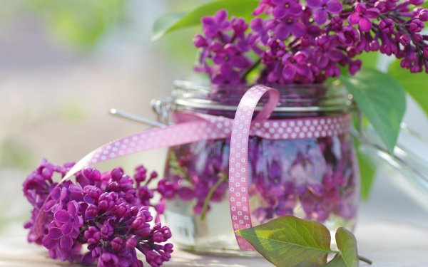 Девочка с одуванчиком