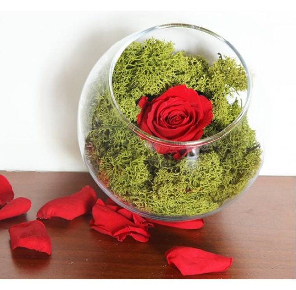 Стабилизированные цветы