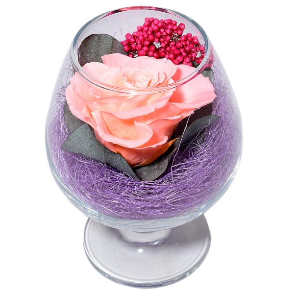 Живые стабилизированные цветы