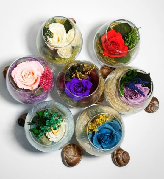 Стабилизированные цветы