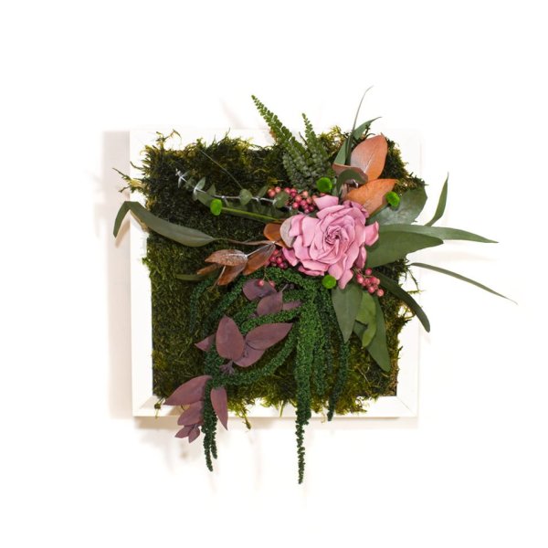 Фитокартина из стабилизированных растений