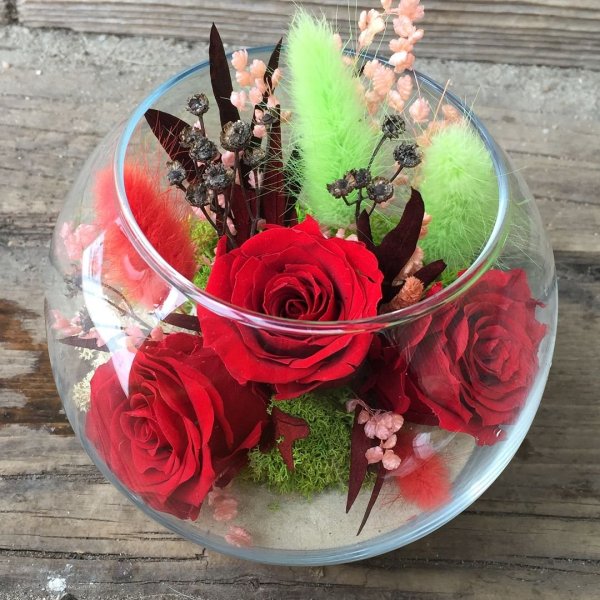 Композиции из стабилизированных растений