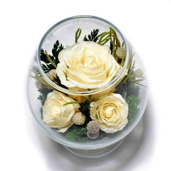 Стабилизированные цветы