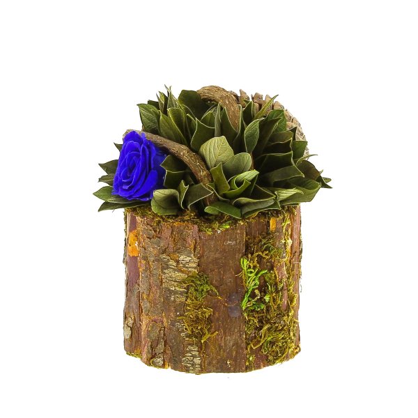 Композиции из стабилизированные цветы