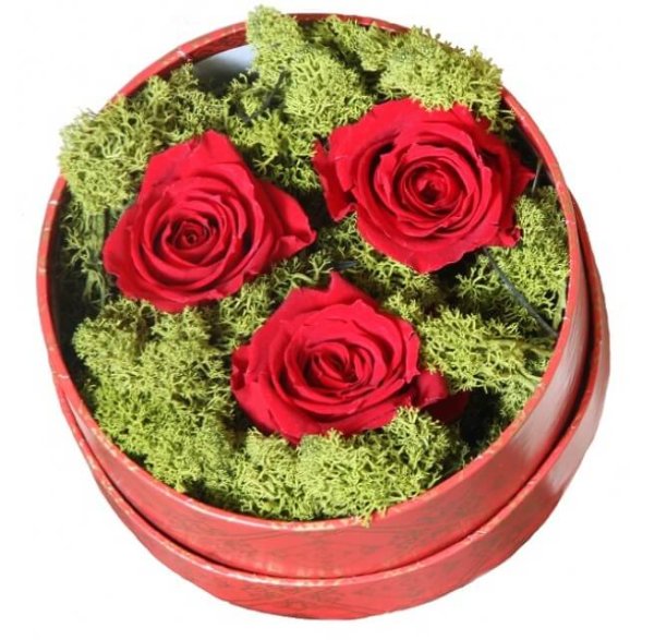 Стабилизированная роза