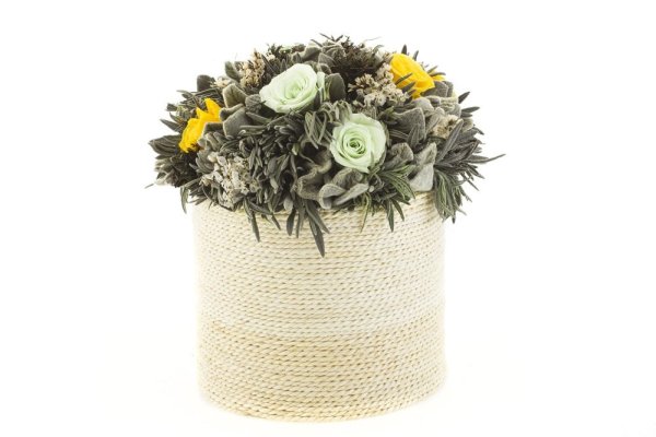 Стабилизированные цветы