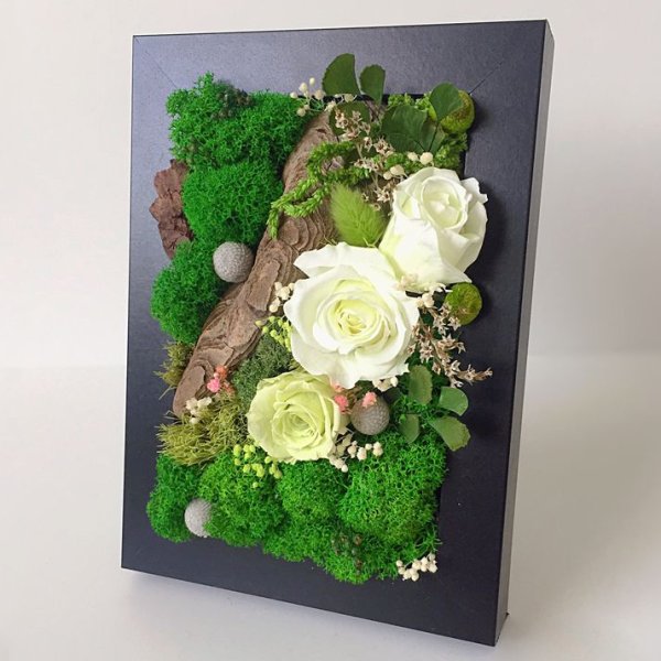 Abnjrfhnbys BP cnfbkbpbhjdfyys[ пастений