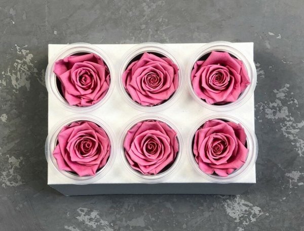 Стабилизированные цветы