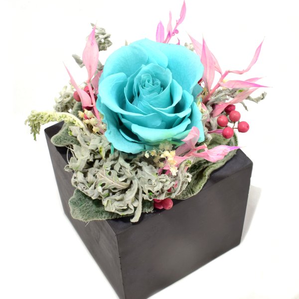 Стабилизированные цве ы