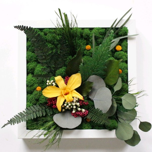 Макси цветочный магазин цветы стабилизированные