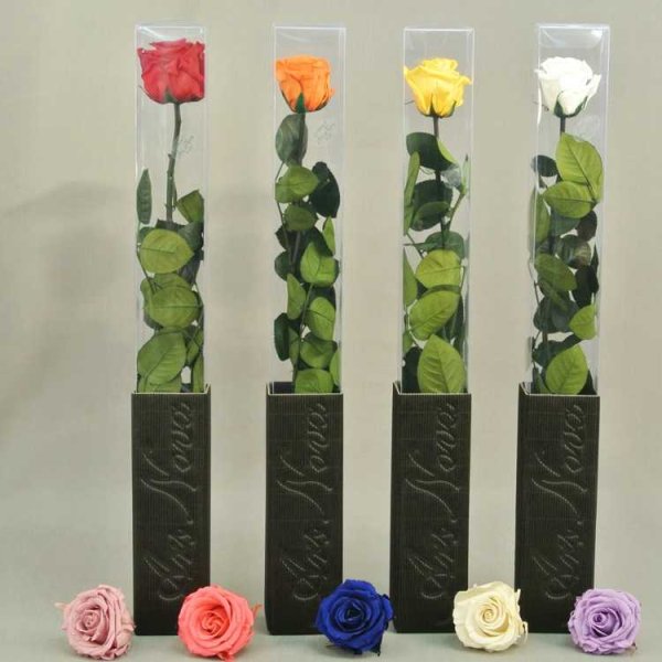 Живые цветы в вакууме