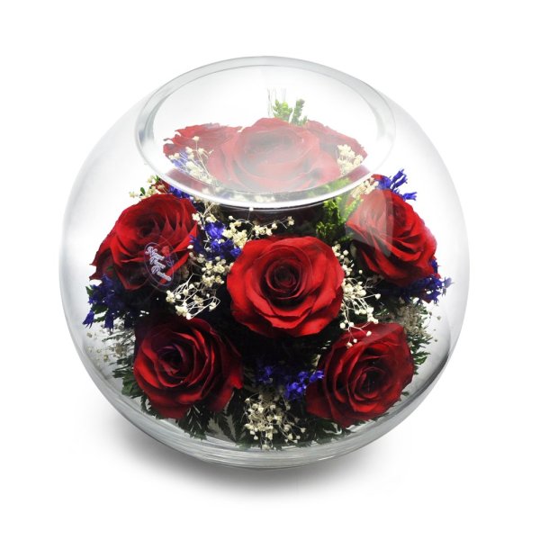 Цветы в глицерине