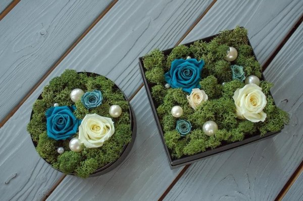 Композиции из мха