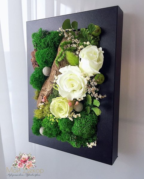 Композиции из стабилизированных растений