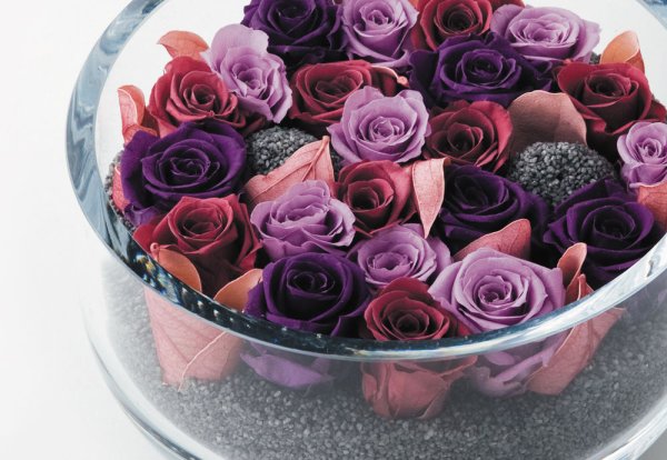 Стабилизированные цветы