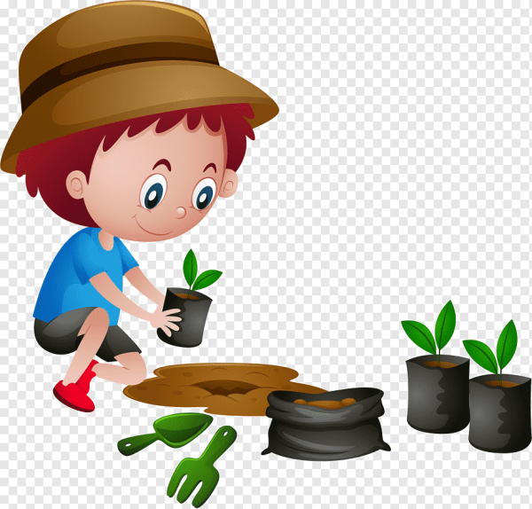 Садить дерево мульт