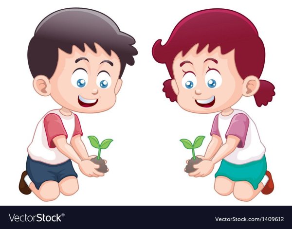 Мальчишки и девчонки сажают